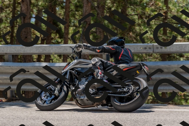 202508091317-DSC_3035_c4_