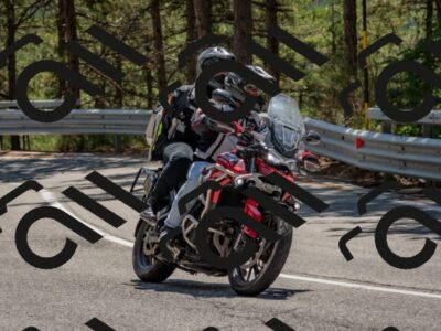 202508091318-DSC_3036_c4_