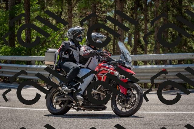 202508091318-DSC_3037_c4_