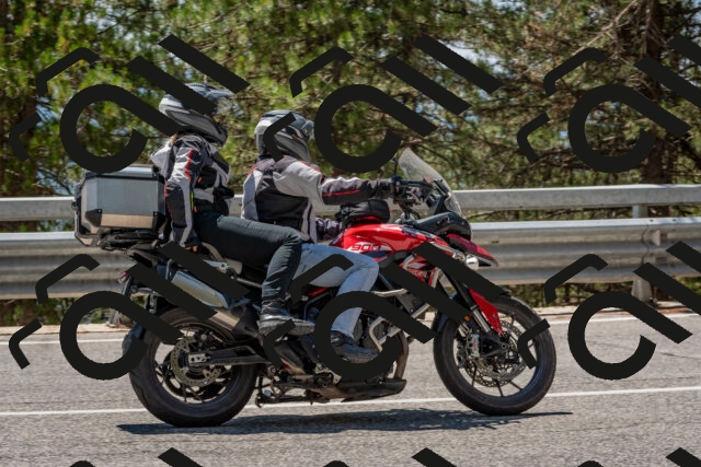 202508091318-DSC_3038_c4_