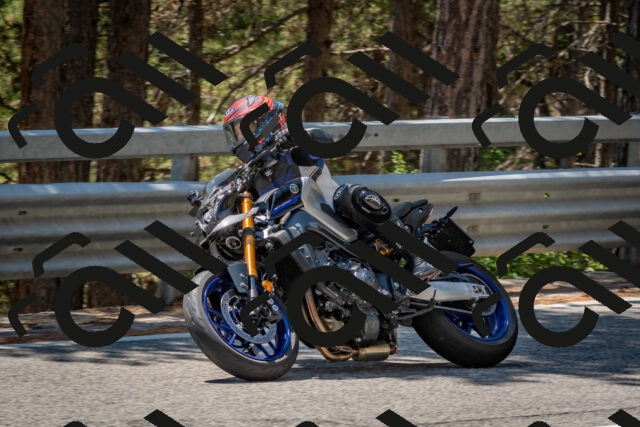 202508091318-DSC_3039_c4_