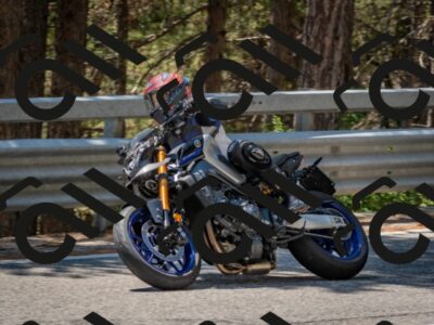 202508091318-DSC_3039_c4_