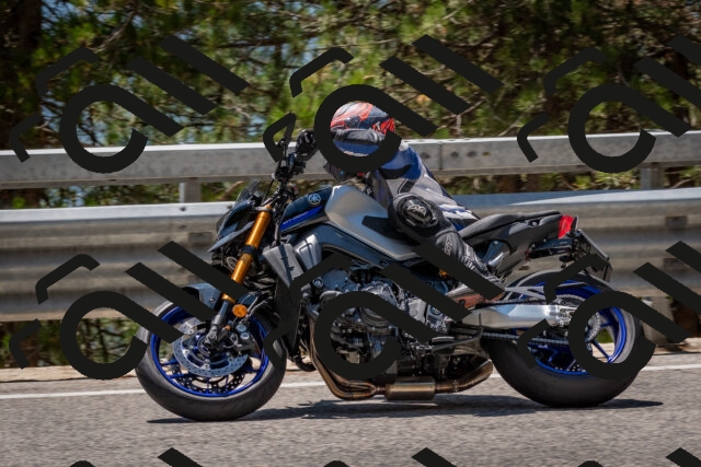 202508091318-DSC_3040_c4_