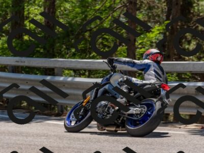 202508091318-DSC_3041_c4_