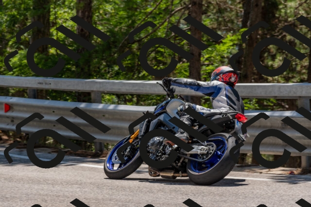 202508091318-DSC_3041_c4_