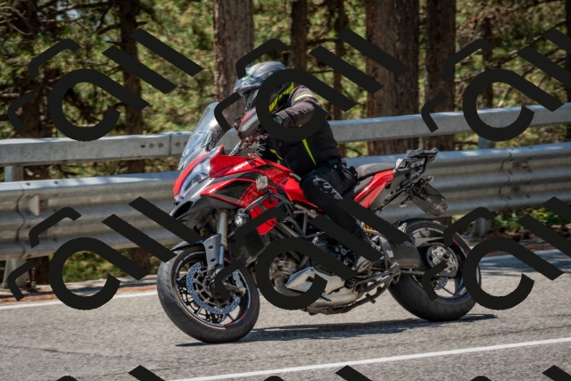 202508091318-DSC_3043_c4_