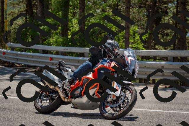 202508091318-DSC_3049_c4_