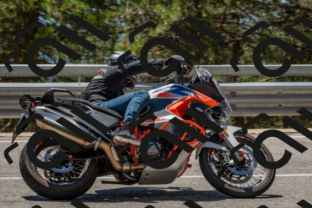 202508091318-DSC_3050_c4_