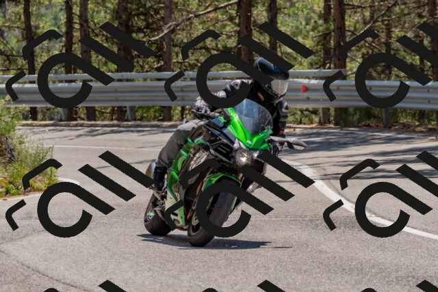 202508091319-DSC_3051_c4_