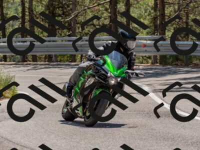 202508091319-DSC_3051_c4_