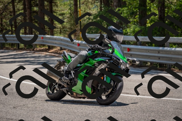 202508091319-DSC_3052_c4_