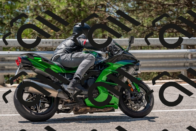 202508091319-DSC_3053_c4_