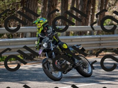 202508091320-DSC_3055_c4_