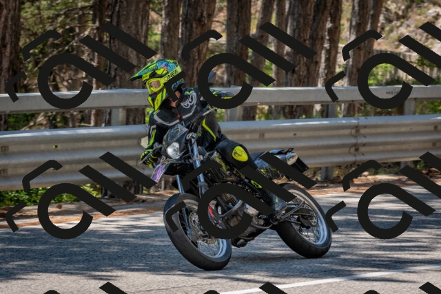 202508091320-DSC_3055_c4_