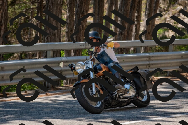 202508091321-DSC_3059_c4_