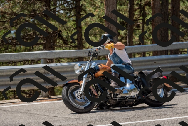 202508091321-DSC_3060_c4_