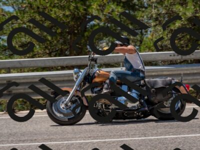 202508091321-DSC_3061_c4_