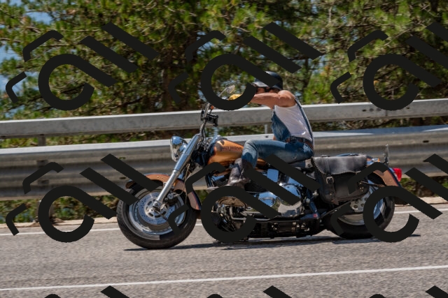 202508091321-DSC_3061_c4_