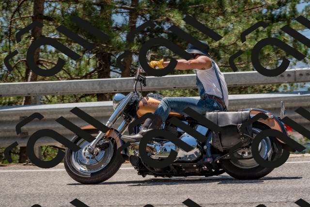 202508091321-DSC_3062_c4_