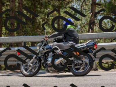 202508091321-DSC_3065_c4_