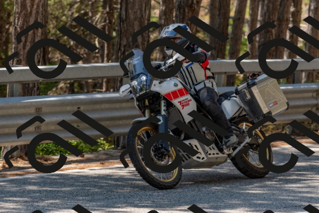 202508091321-DSC_3066_c4_