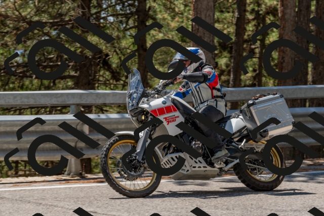 202508091321-DSC_3067_c4_