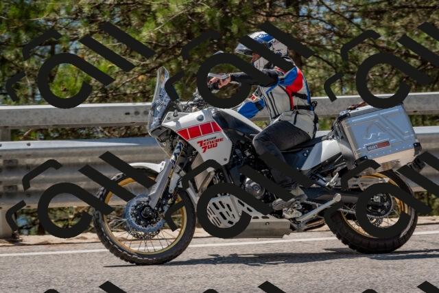 202508091321-DSC_3068_c4_