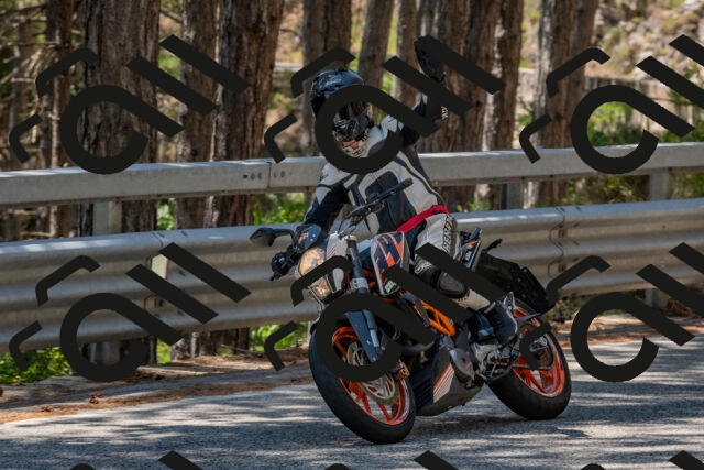 202508091322-DSC_3075_c4_