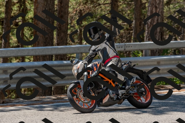 202508091322-DSC_3076_c4_