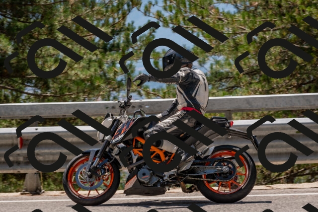 202508091322-DSC_3078_c4_