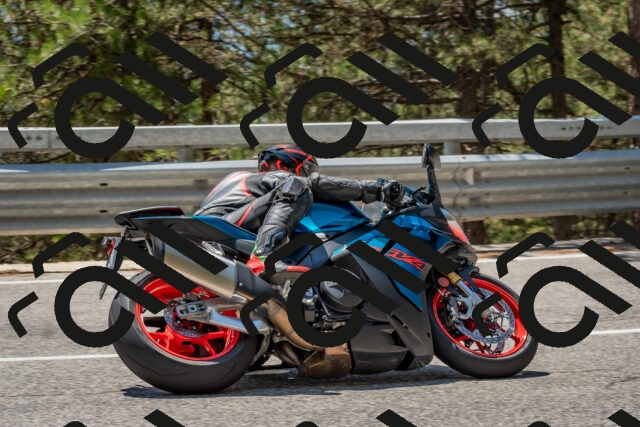 202508091322-DSC_3083_c4_