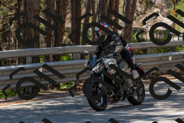 202508091322-DSC_3084_c4_