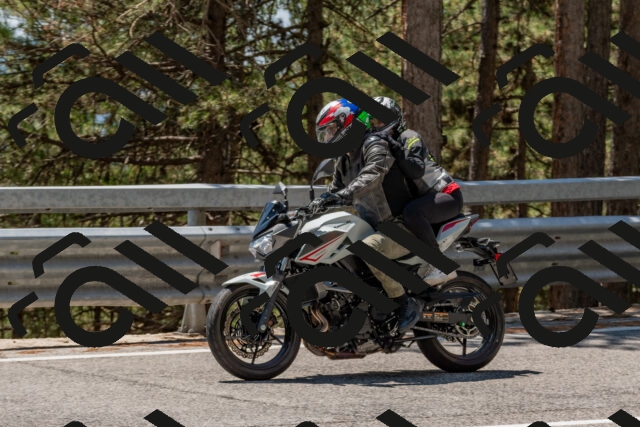 202508091322-DSC_3085_c4_