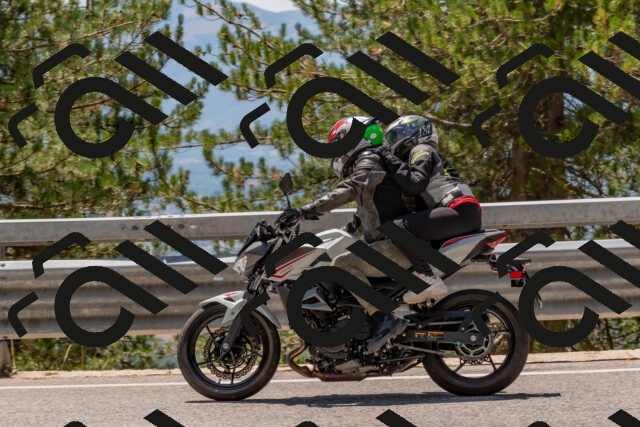 202508091322-DSC_3086_c4_