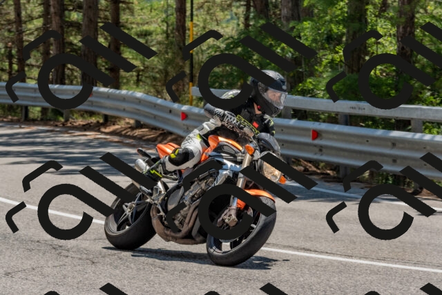 202508091322-DSC_3090_c4_