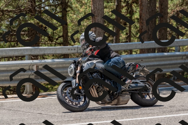 202508091322-DSC_3093_c4_