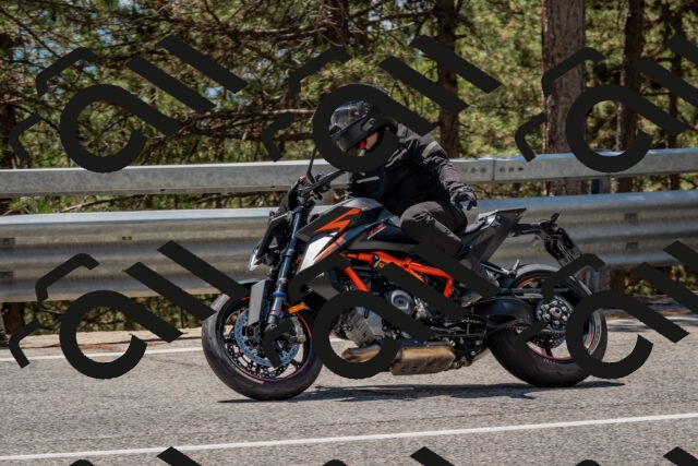 202508091322-DSC_3094_c4_