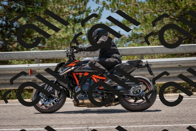 202508091322-DSC_3095_c4_