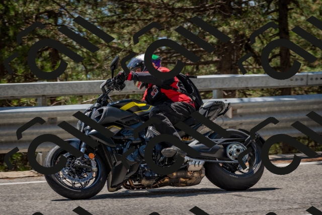 202508091323-DSC_3100_c4_