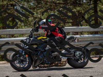 202508091323-DSC_3100_c4_