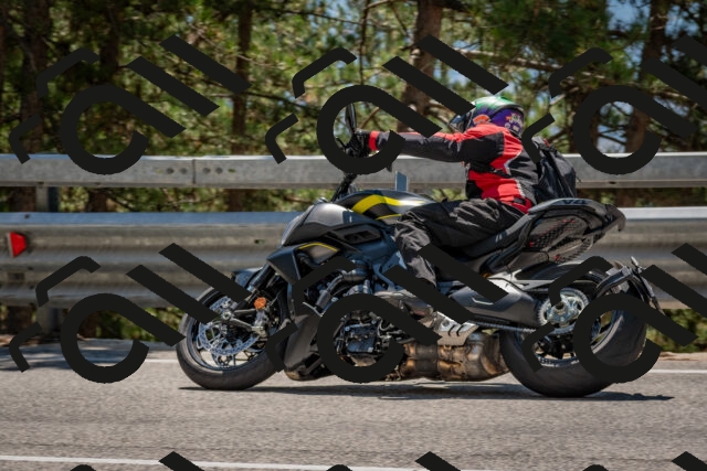 202508091323-DSC_3101_c4_