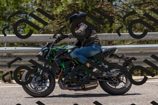 202508091323-DSC_3103_c4_