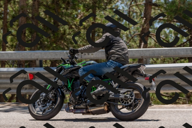 202508091323-DSC_3104_c4_