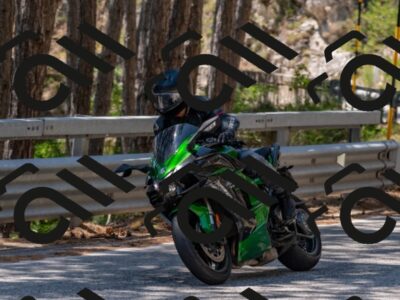 202508091323-DSC_3105_c4_