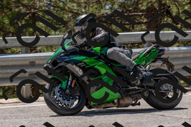 202508091323-DSC_3106_c4_