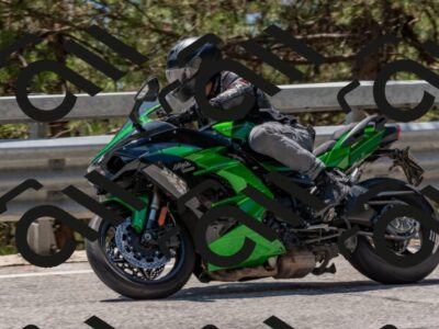 202508091323-DSC_3106_c4_