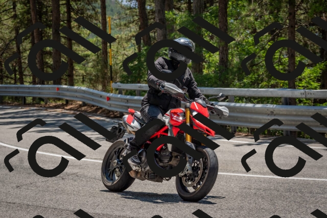 202508091323-DSC_3109_c4_