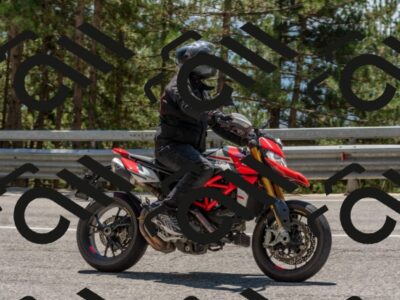 202508091323-DSC_3110_c4_