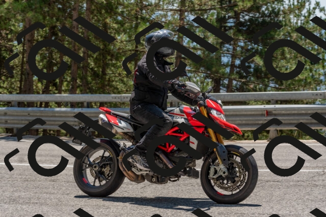 202508091323-DSC_3110_c4_