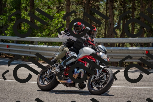 202508091323-DSC_3111_c4_